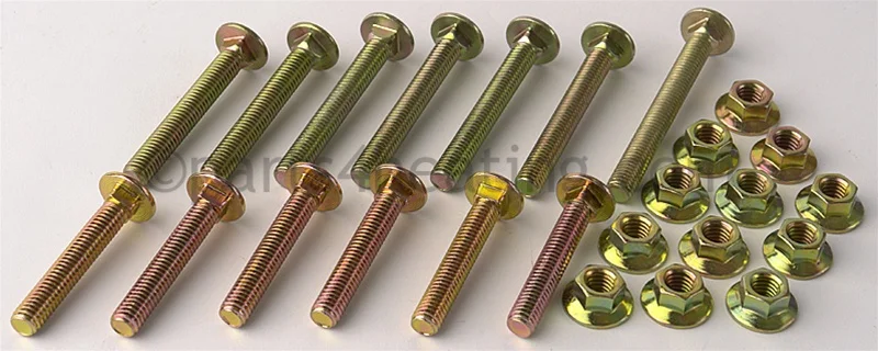 Raypak001303FCarriage Bolt Kit