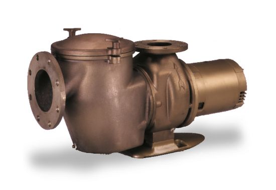 Pentair 10 HP 200 V 208 V C Pump Bronze Commercial 3 Ph Med Head Ig 6IN X 4IN Flange CMK100 Nsf - 347944