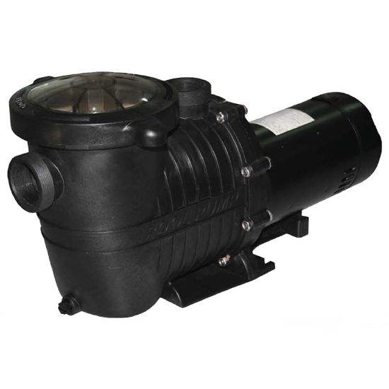Tianjin Pool & Spa Corporation 1 1/2 HP Swimming Pool Poolline Pump Ig Self Priming 1 1/2-Inch Fpt
