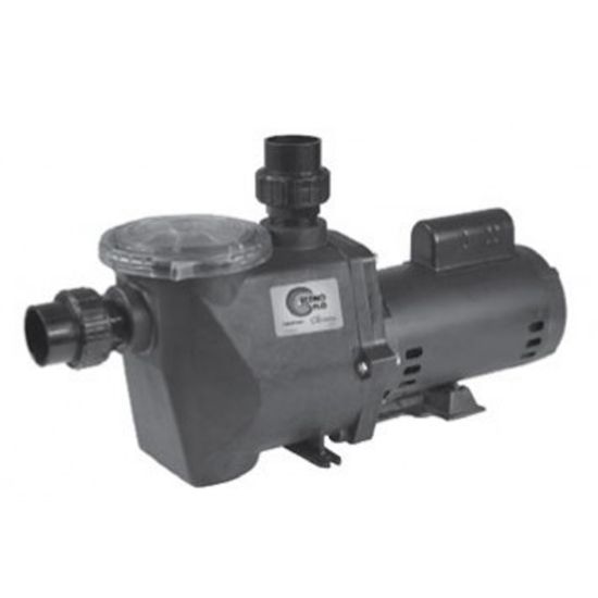 1 1/2 HP 230 V 2 Speed Econo Flo Pump Full Rated Ig 2-Inch Slip Unions Waterway - ECONO-215