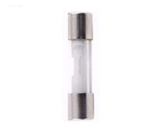 Wes Garde Components 10 AMP Glass Fuse