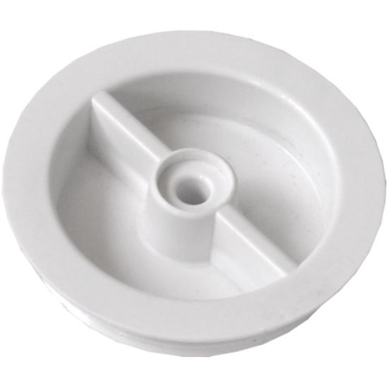 AquaStar 2-Inch Winterizing Capacity With O - Ring White - CS101