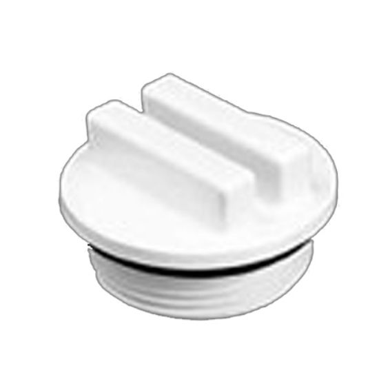 Praher Plastics Canada Ltd. .25-Inch Winterizing Plug Praher - 025-PLG