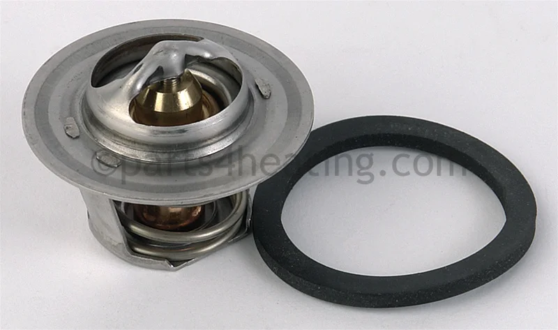 Raypak006719FUnitherm Governor Kit