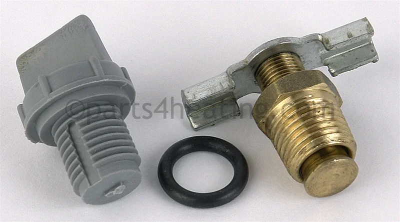 Raypak006721FDrain Plug Kit