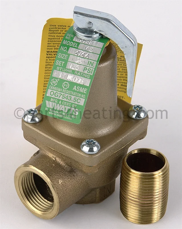 Raypak007224FPressure Relief Valve 125 PSI