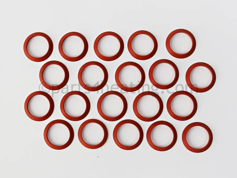 Raypak007343FHeader Gasket Kit (20 Pieces)