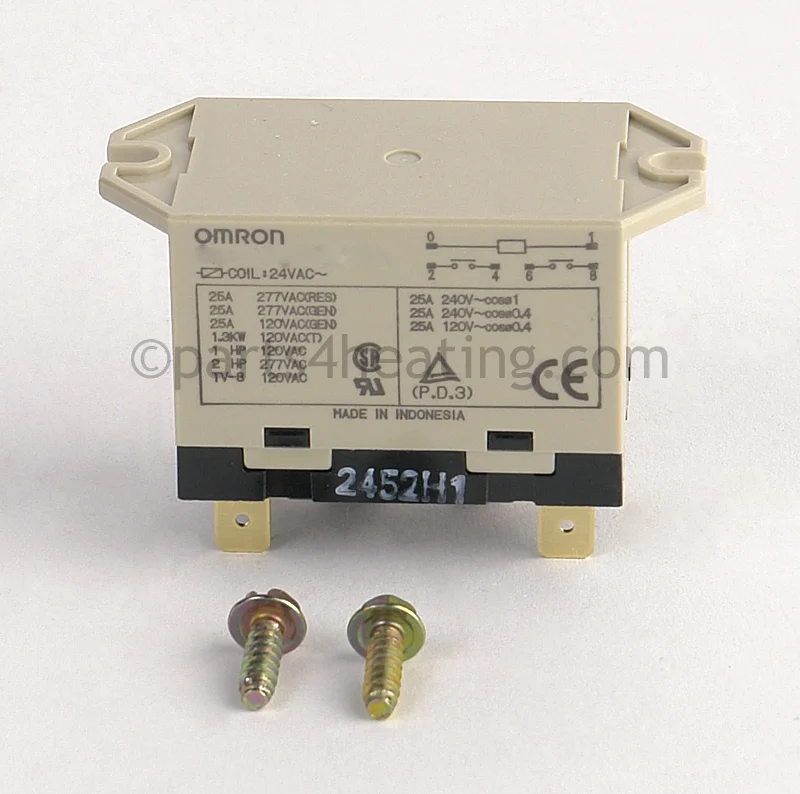 Raypak007925FPump Relay Dpst 24 Volt AC