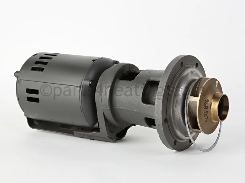 Raypak009296FIntegral Pump with 4 Inch Impeller