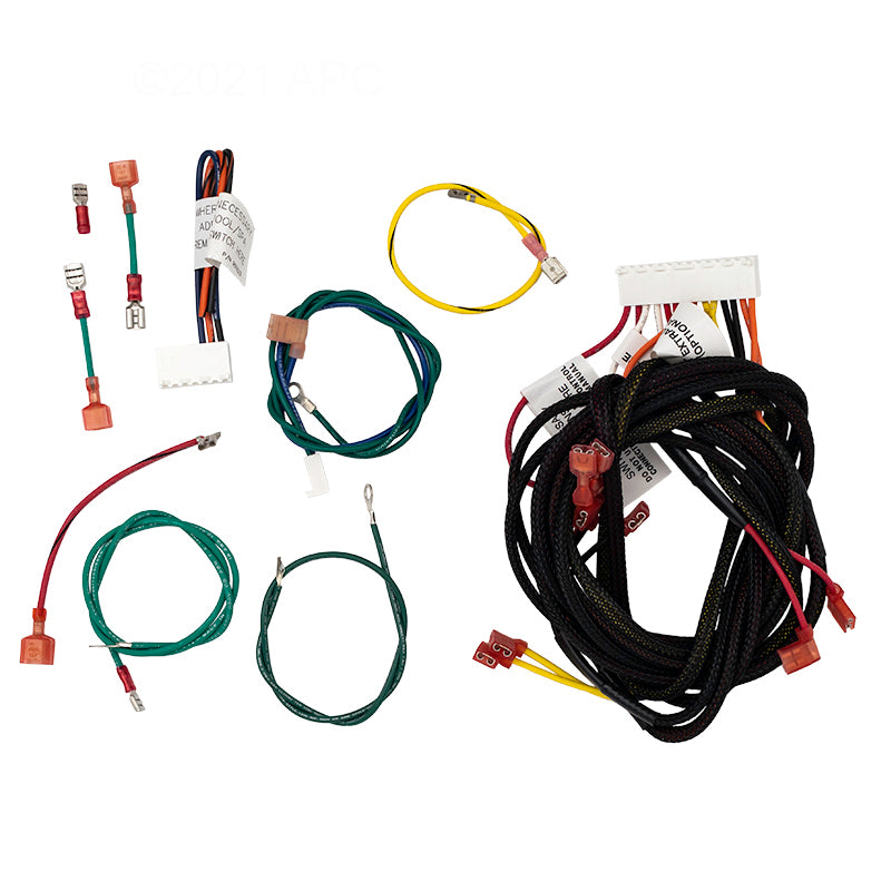 Raypak Wire Harness IID 009490F