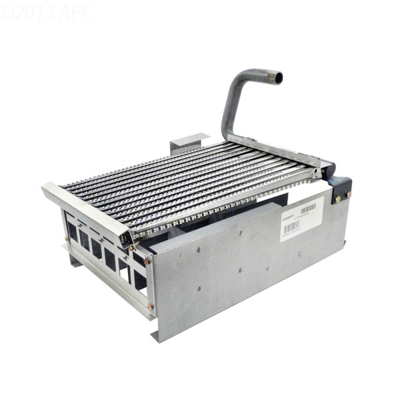 Raypak Digital Burner Tray with Burners 010391F