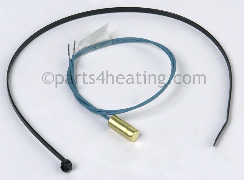 Raypak010787F10K Water Temperature Sensor