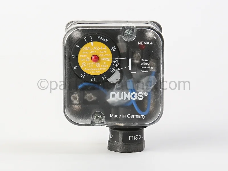 Raypak011770FLow Gas Pressure Switch (Optional)
