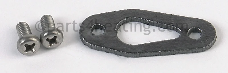 Raypak013168FFlame Sensor and Igniter Gasket