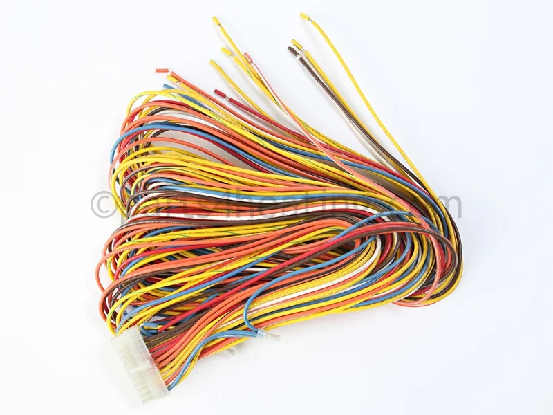 Raypak013330FDigital Controller Wire Harness (Old Platform)