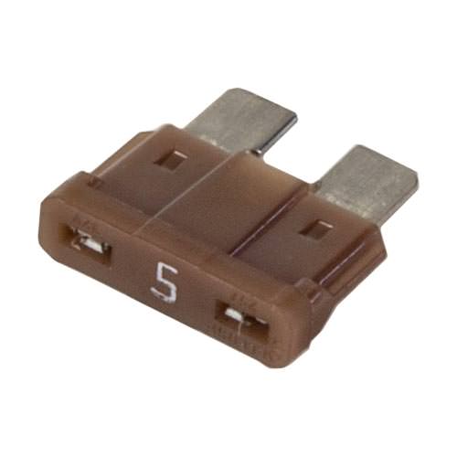 Raypak Digital 5 Amp Fuse 013733F