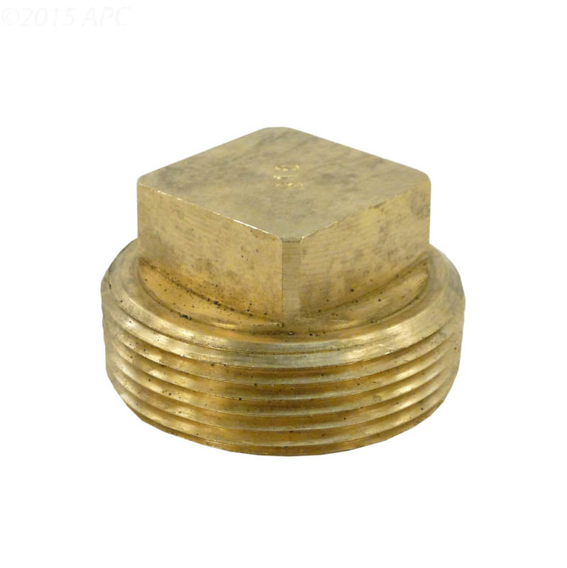 Raypak Unitherm Governor Plug 013738F