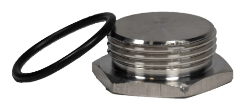 Raypak ELS Pipe Plug w/ O-Ring - 017158F
