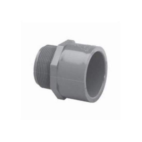 LASCO 1IN Mpt X Skt Male Adapter Schedule 80 Gray - 836-010