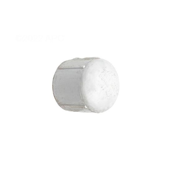 Lasco Fittings INC 2.5In FPT Cap Schedule 40 - 448-025