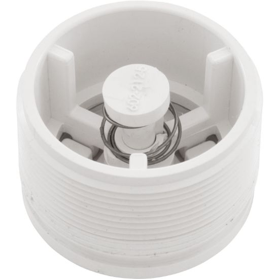 Waterway 2IN Hydrostatic Relief Valve - 600-2140