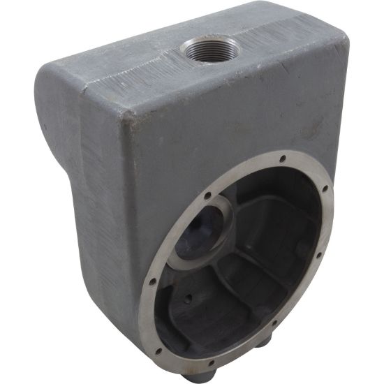 Pentair 1.5-Inch Pump Body Sta-Rite - C76-12B