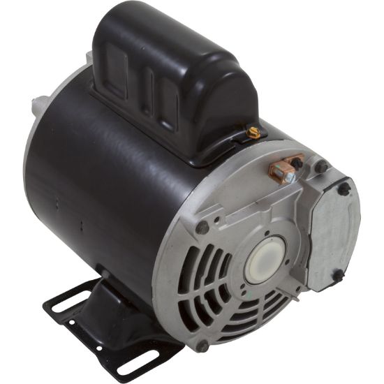 Nidec 1/15 HP 48Y Thry Bolt 1 Speed 1.00 SF Full Rated Spa Motor - EV115
