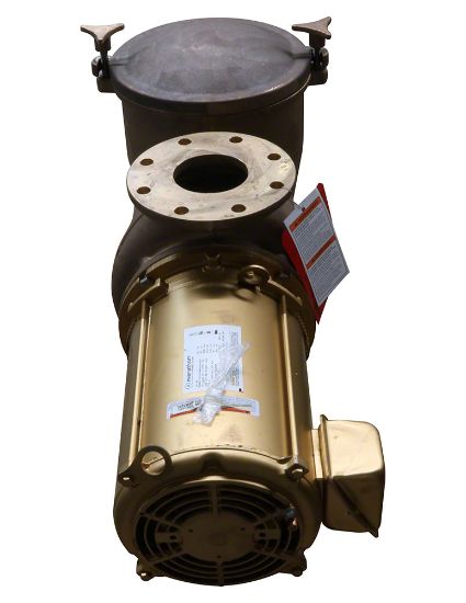 Pentair 10 HP 240 V C Series Bronze Pump 1PH Hi Head Ig 6IN X 4IN Flange - 347963