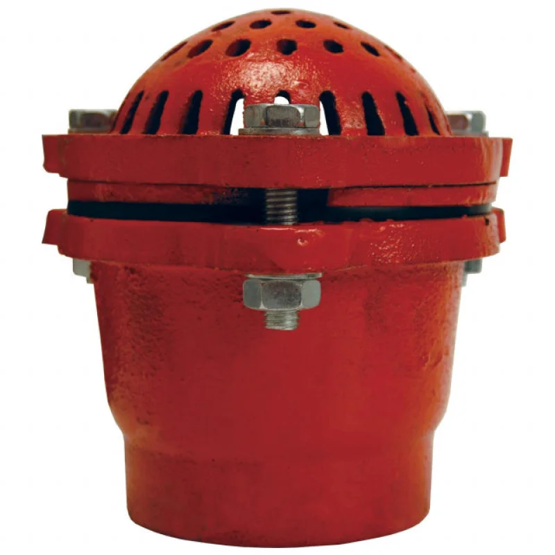 1-1/2" NH Foot Valve With Strainer With Clapper