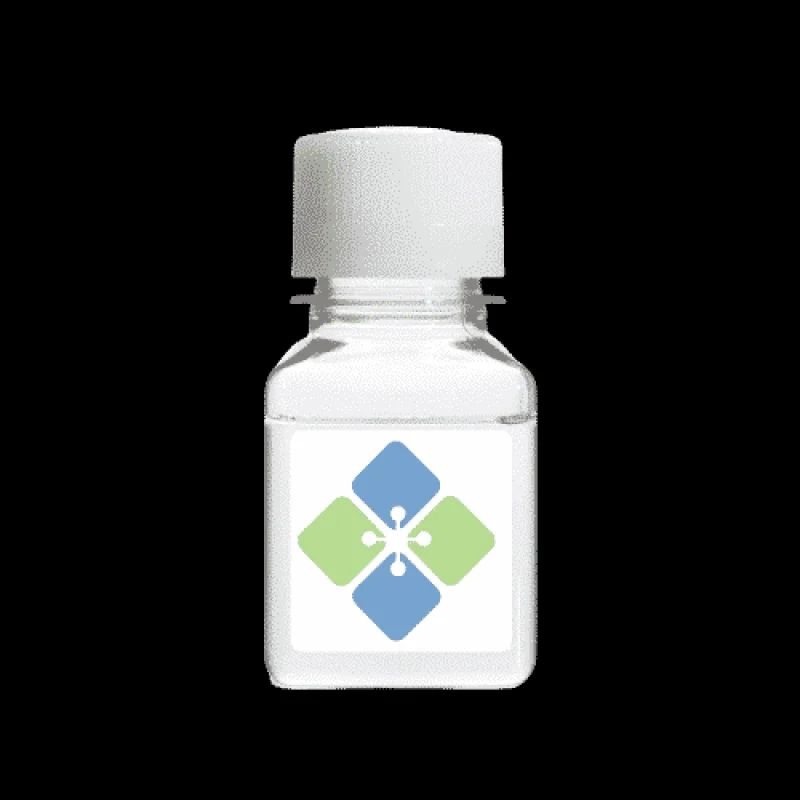 1,2-Dimyristoyl-sn-glycerol (High Purity)