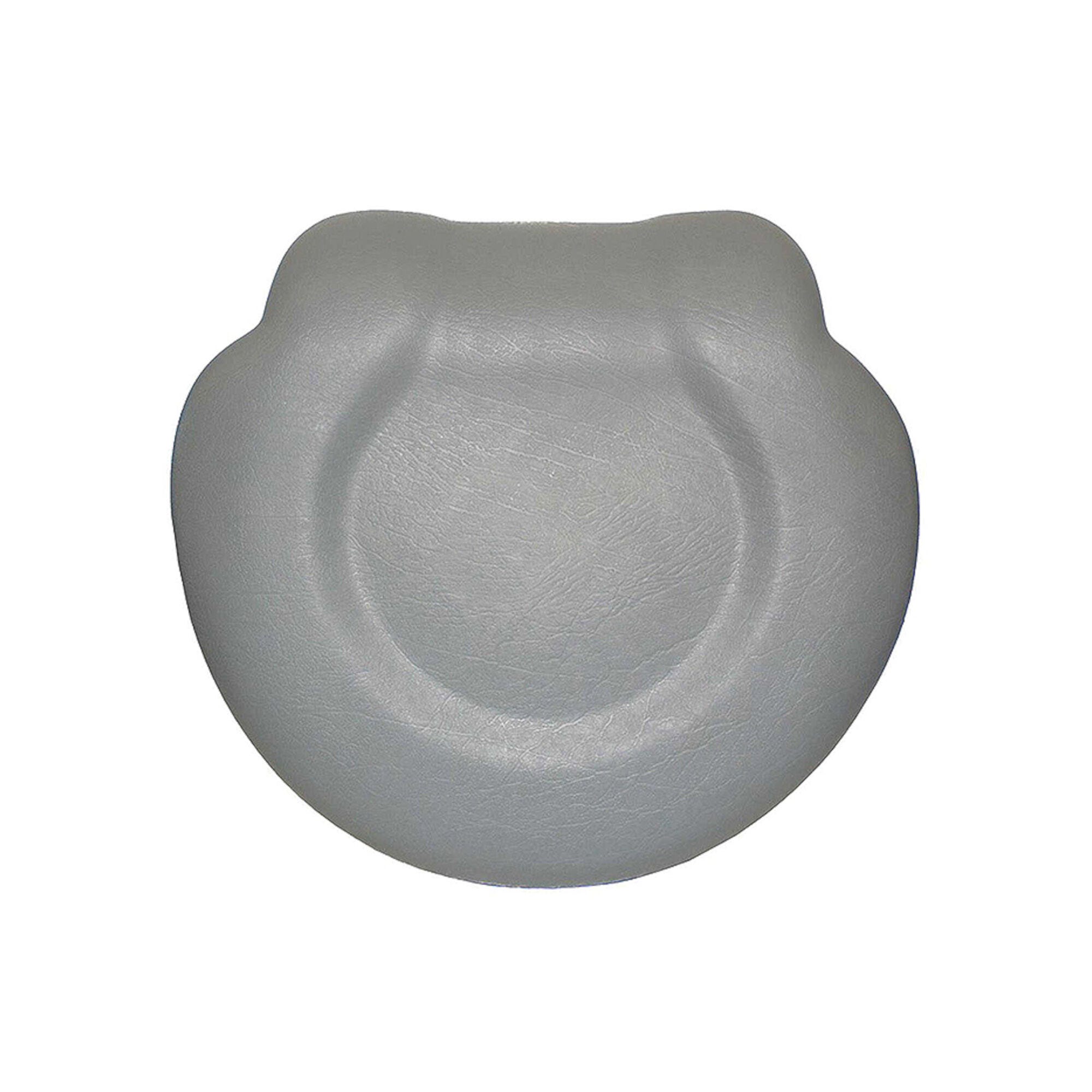 Coleman/Maax 400 700 Series Filter Lid Pillow 103519