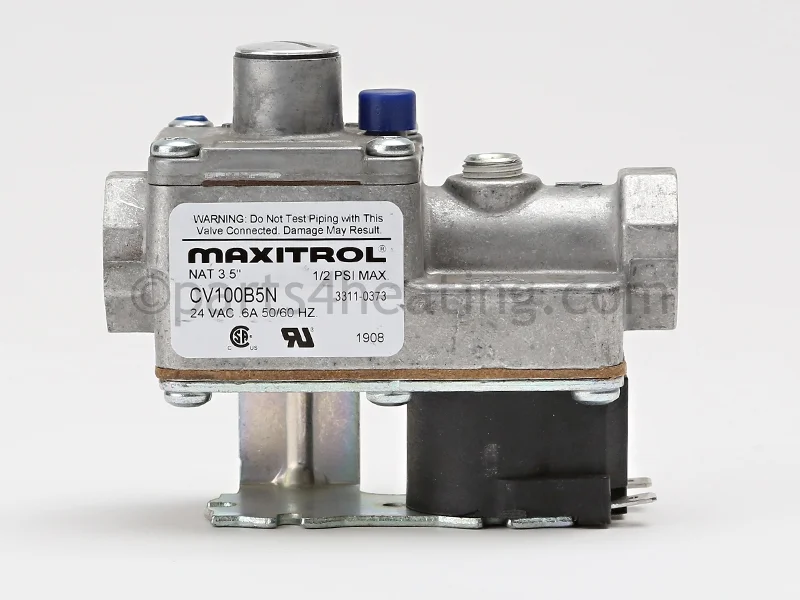 RBI11-0373Natural Gas Solenoid Valve With Regulator 24 VAC