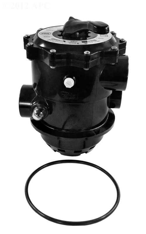 Sta-Rite 2" Multiport Valve Kit, Model T-240BP T-300BP