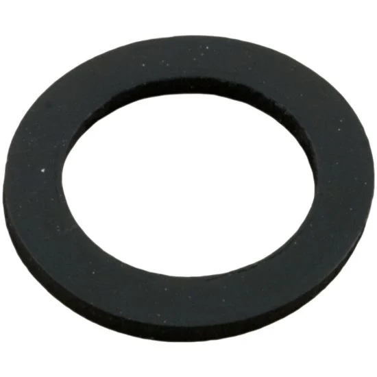 154713 Gasket Pentair Sand Dollar Drain Plug 1