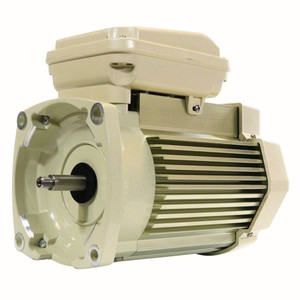 Pentair Almond 5 HP Pump Motor Square Flange, 3 Phase 208-230/460 Volts 60 Hz, TEFC Super Duty, 354813S