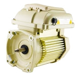 Pentair Superflo VS PumpMotor With Drive 356289S