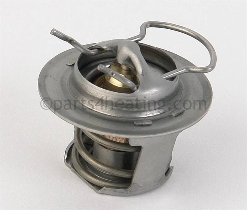 Pentair38000-0007SThermal Regulator Service Kit with Spring Clip