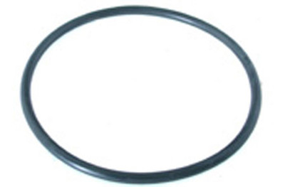 Waterco Hair and Lint Pot Lid O-Ring, WC63151