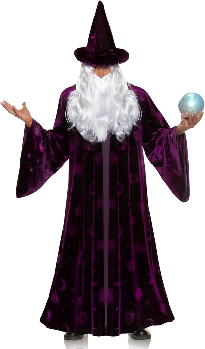 Purple Wizard Midnight Mystic Fantasy Magic Sorcerer Men's Costume