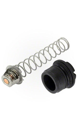 Pentair Thermal Regulator Kit - 77707-0010