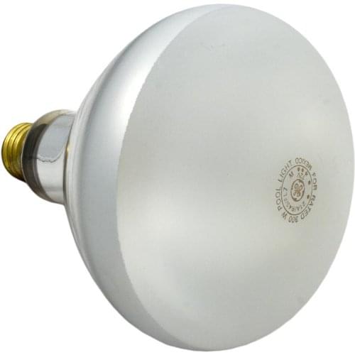 Pentair Amerlite Floodlamp 500W, 120V - 79102100