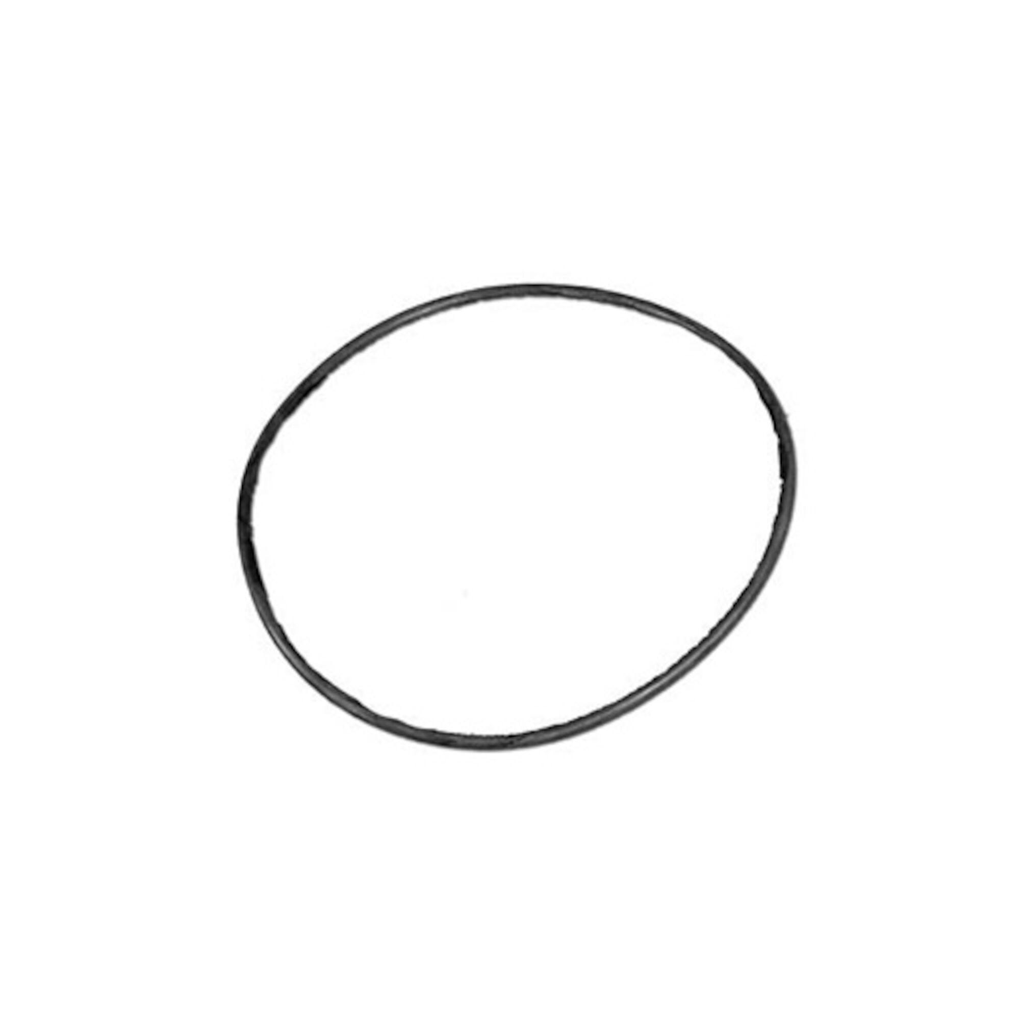 Waterway Filter Lid O-Ring 805-0360