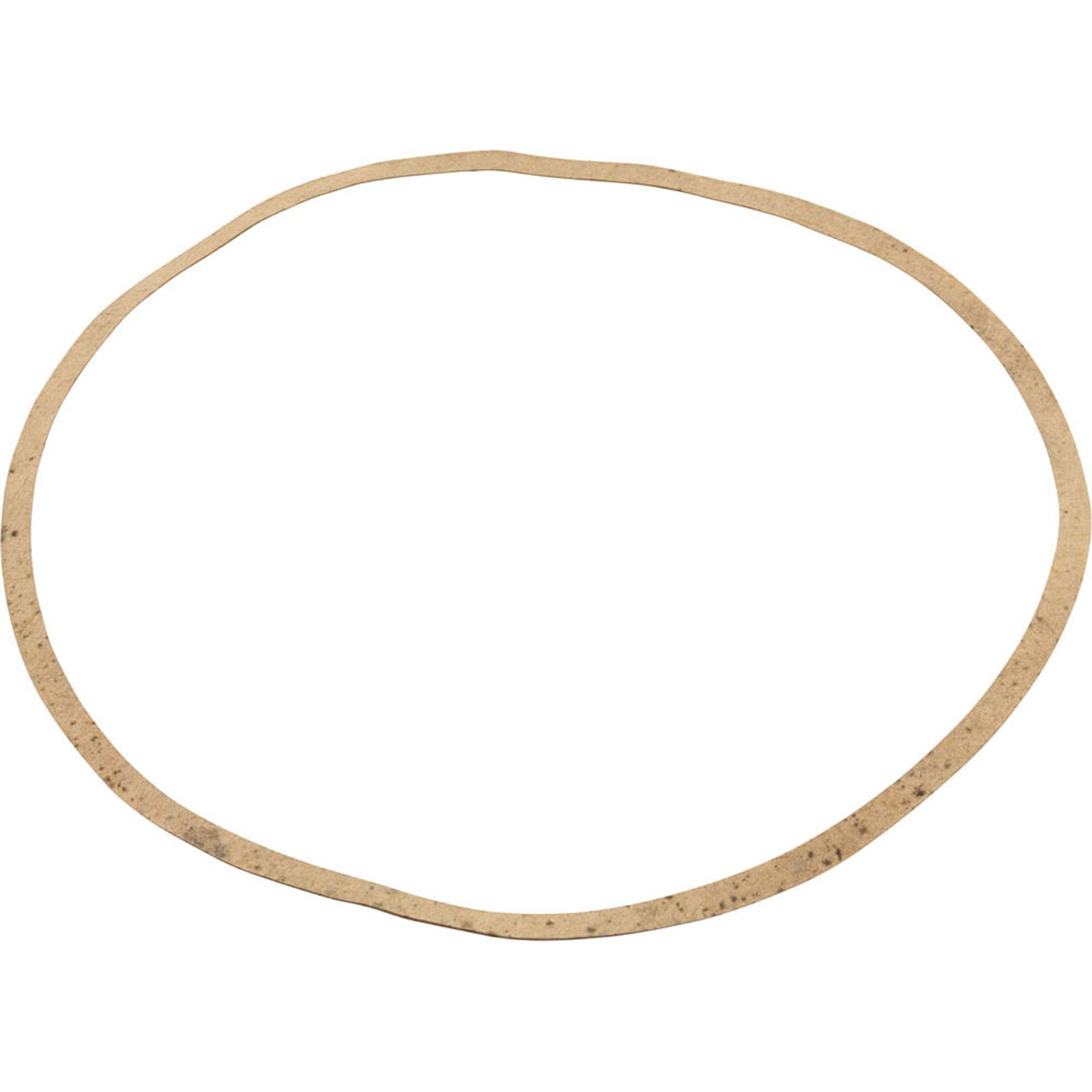 Gasket Sta-Rite AJ Series C20-79