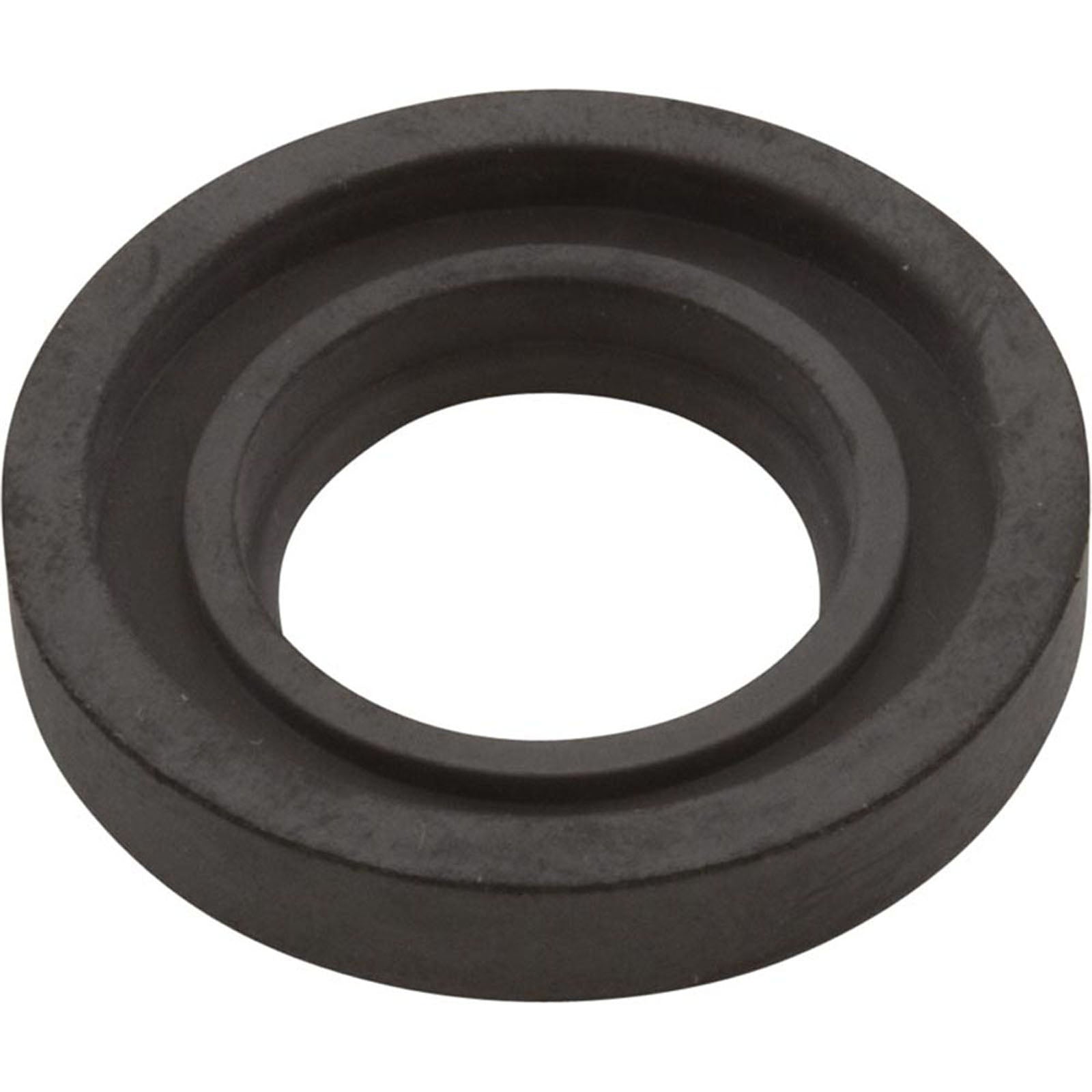 Gasket by Pentair N20-34