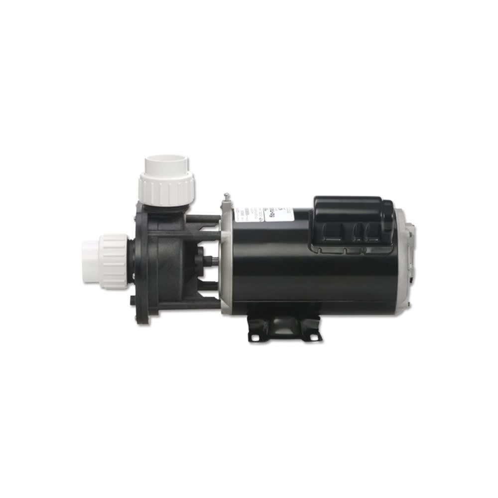 Gecko Alliance Flo-Master FMCP Spa Pump, Dual Speed, 115V, Center Discharge | 02610000-1010