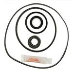Hayward MaxFlo Pump Seal Kit Series SP1800 & SP2800