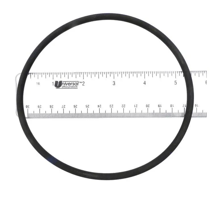 APC Hayward Lid O-Ring - CLX200K - APCO2423