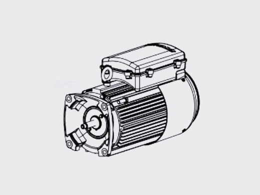 Hayward HCP 3000 Motor, 3 HP Single Phase (208-230V) - HCXP3030Z1M