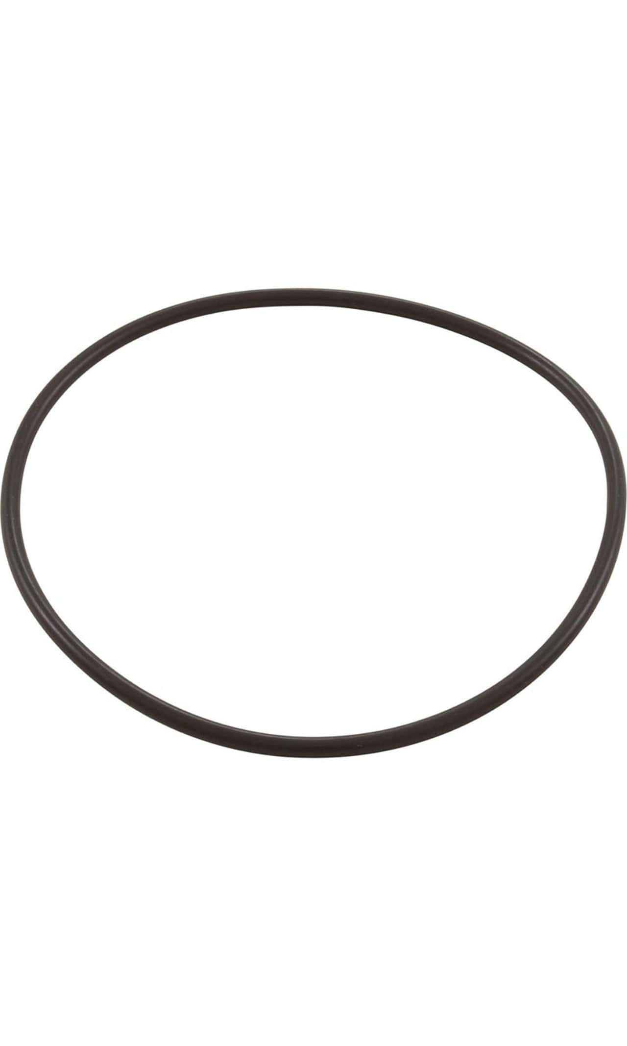 Hayward HCP 4000 Flange O-Ring - HCXP6016A