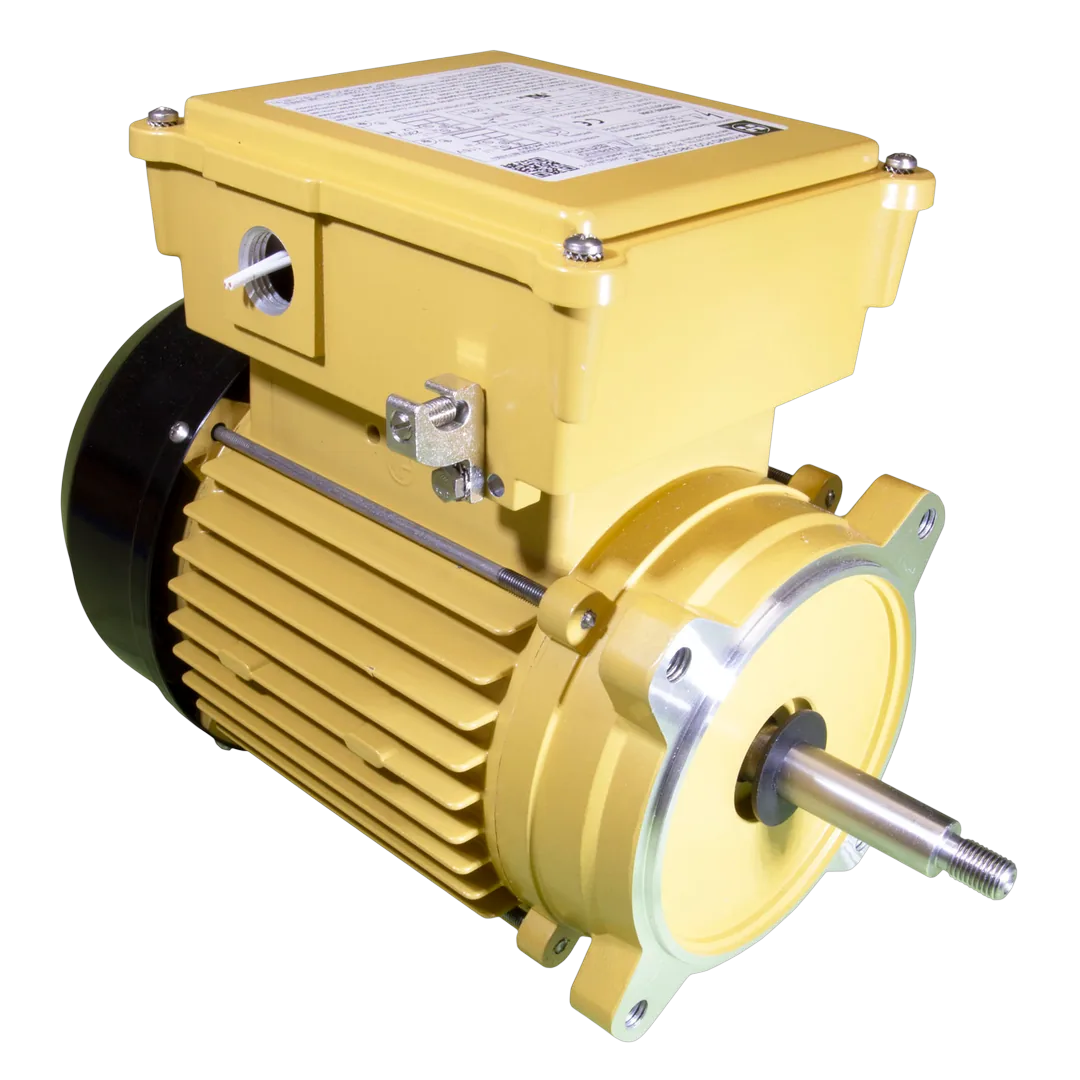 Hayward SPX2607Z1MTG Replacement Motor